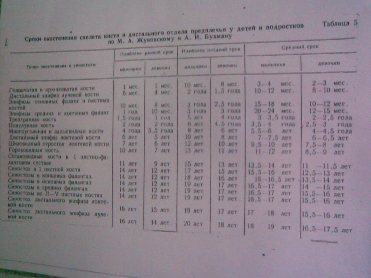 Костный возраст схема