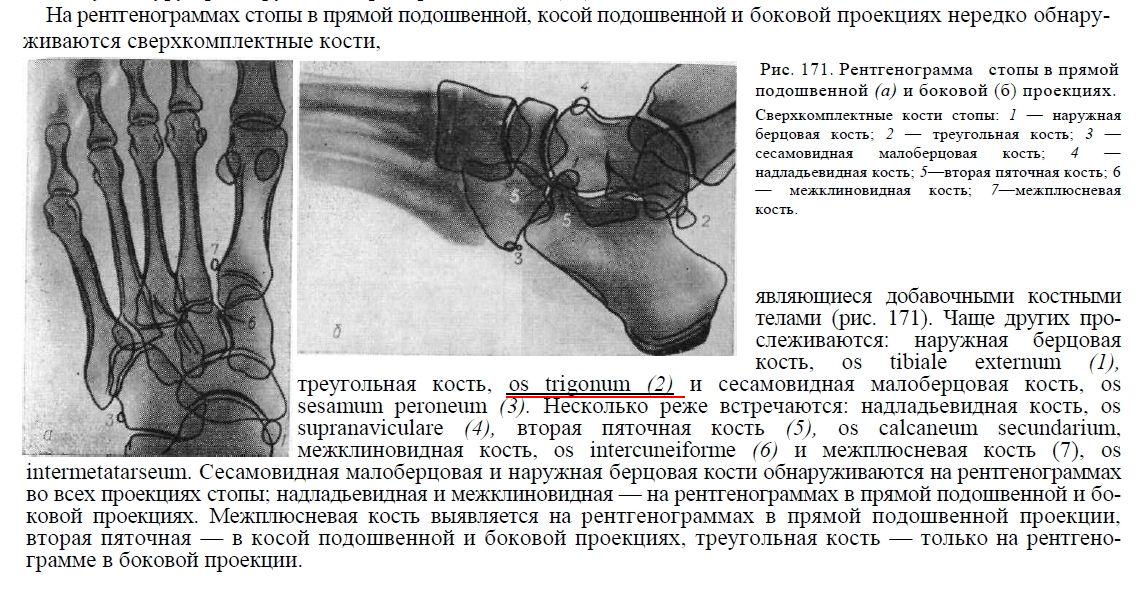 Код мкб перелом кости голени