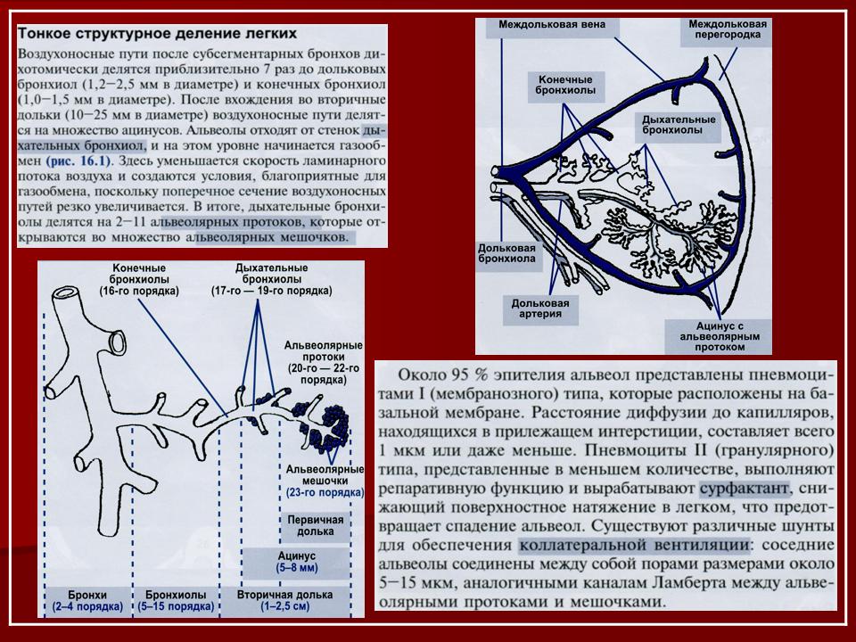 Легочный интерстиций