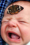 10_baby_and_butterfly.jpg