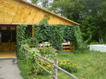 2.p8050055.jpg