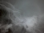 2011-09-05_16.35.04.jpg