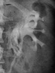 24.20022013578_0a.jpg