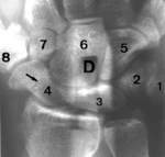 f2.mediumladevidnoy_soyuza..gif