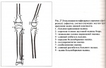 2.skanirovanie0019v.jpg