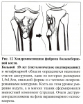 skanirovanie0011g.jpg