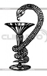 5332669-snake-and-a-bowl-as-an-emblem-of-medicine.jpg