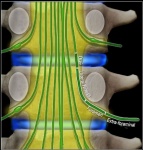 a53f0b22de99d8_tek-anatomy-6.jpg