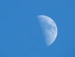 moon_daylight_half_moon_blue_sky-963522.jpg