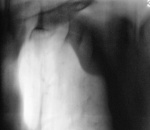 p3110047-2a.jpg