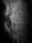 p9250010.jpg