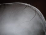 2.p7240004.jpg