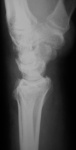 200907290093.jpg
