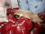 201201010013.jpg
