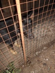 201201010084.jpg
