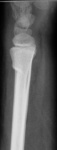 pc240027a.jpg