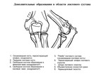 korolyuk_i.p._rentgenoanatomicheskij_atlas_skeleta_vidar1996isbn_5884290136ru193s_127.jpg