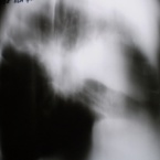 Dr.Elena's picture