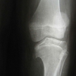 изображение с сайта www.radiomed.ru