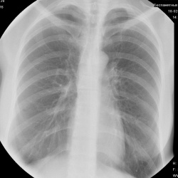 изображение с сайта www.radiomed.ru