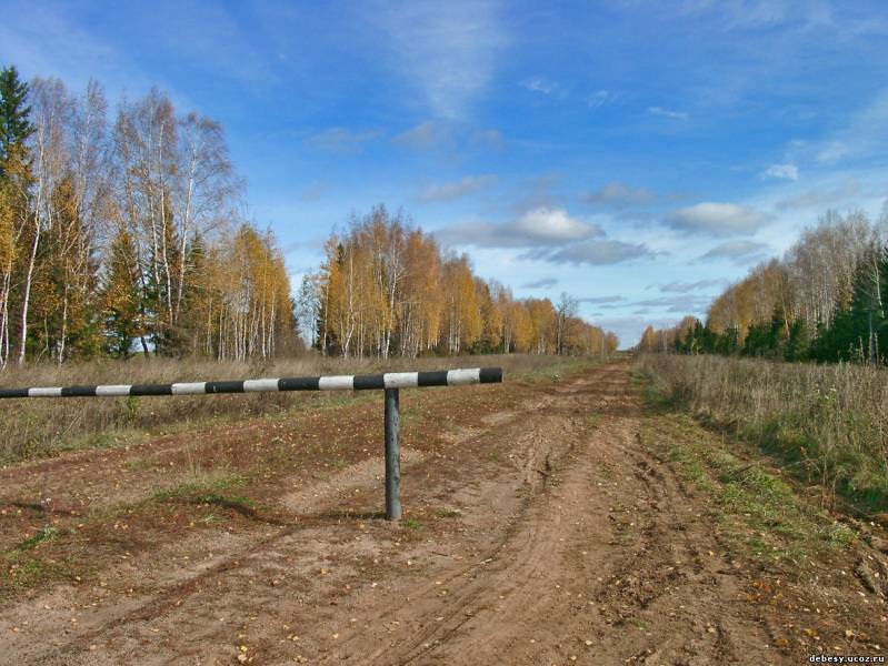 Фото сибирского тракта. Сибирский тракт село Дебесы. Сибирский тракт Государева дорога. Сибирский тракт в Удмуртии. Старый Сибирский тракт в Удмуртии.